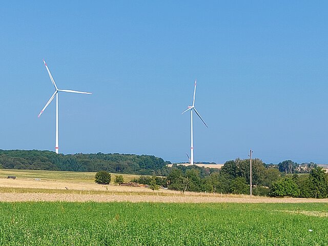 Two wind turbines stand on the horizon. Fields, meadows, and trees can be seen. There is not a cloud in the sky.