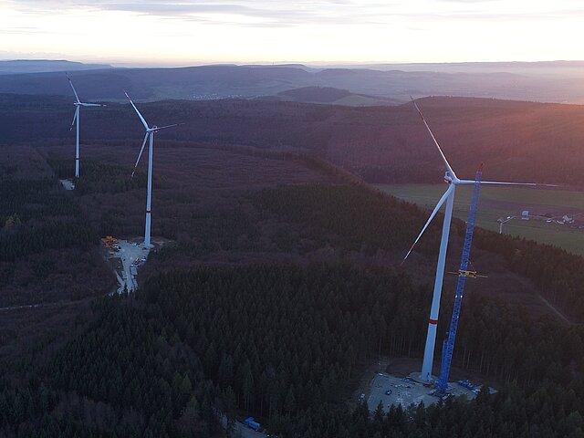 Several wind turbines stand in the forest and are sparsely illuminated by the rising sun.