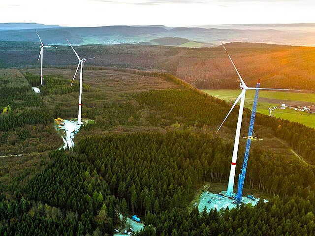 Several wind turbines stand in the forest and are sparsely illuminated by the rising sun. 