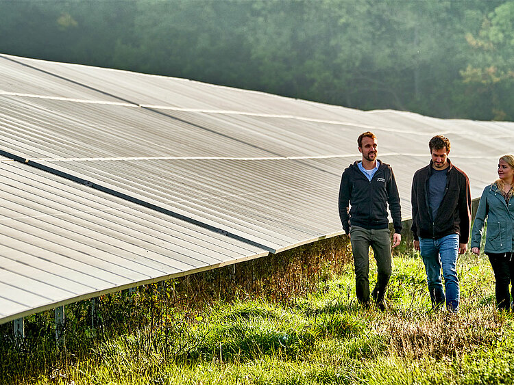 Three JUWI employees are walking through a solar park.