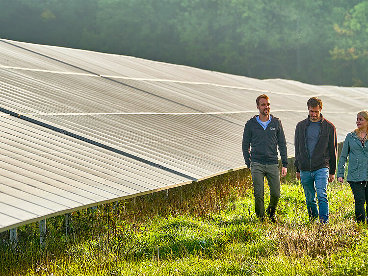 Three JUWI employees are walking through a solar park.